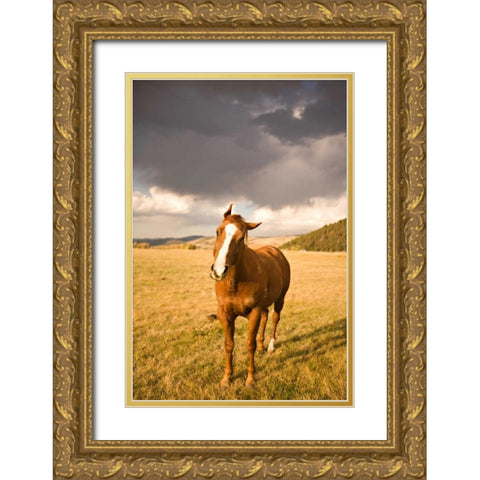 Out in the Pasture I Gold Ornate Wood Framed Art Print with Double Matting by Millet, Karyn