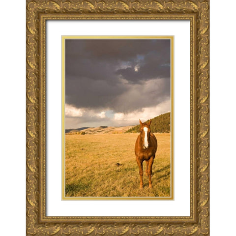 Out in the Pasture II Gold Ornate Wood Framed Art Print with Double Matting by Millet, Karyn