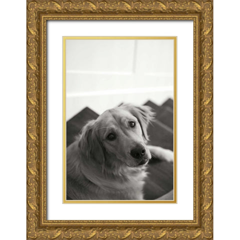 Goldie I Gold Ornate Wood Framed Art Print with Double Matting by Millet, Karyn