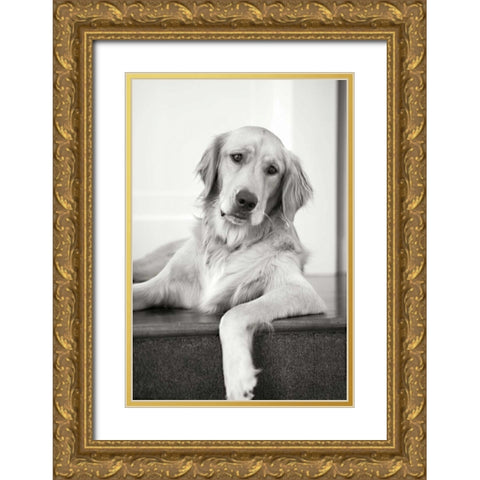 Goldie II Gold Ornate Wood Framed Art Print with Double Matting by Millet, Karyn
