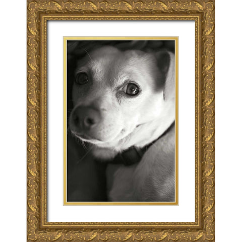 Second Glance Gold Ornate Wood Framed Art Print with Double Matting by Millet, Karyn