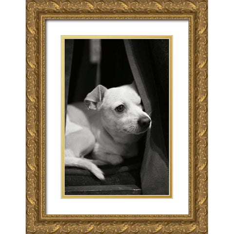 Napping Gold Ornate Wood Framed Art Print with Double Matting by Millet, Karyn