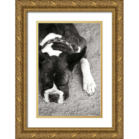 Boxer Gold Ornate Wood Framed Art Print with Double Matting by Millet, Karyn