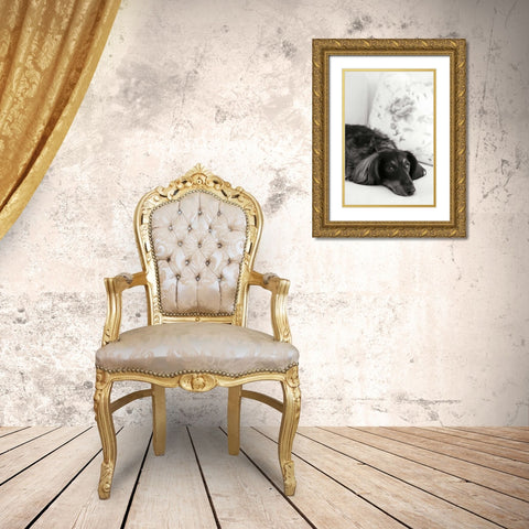Dachshund Gold Ornate Wood Framed Art Print with Double Matting by Millet, Karyn