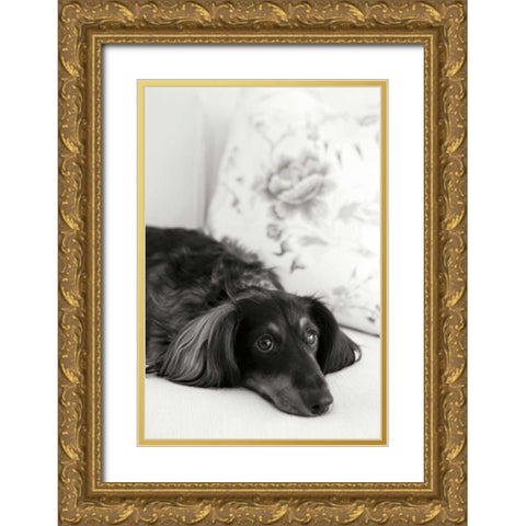 Dachshund Gold Ornate Wood Framed Art Print with Double Matting by Millet, Karyn