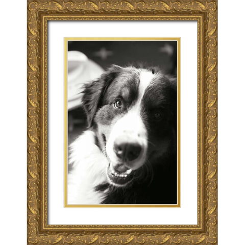 Ranch Dog Gold Ornate Wood Framed Art Print with Double Matting by Millet, Karyn