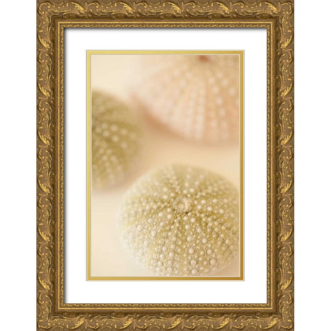 Ocean Treasures III Gold Ornate Wood Framed Art Print with Double Matting by Millet, Karyn