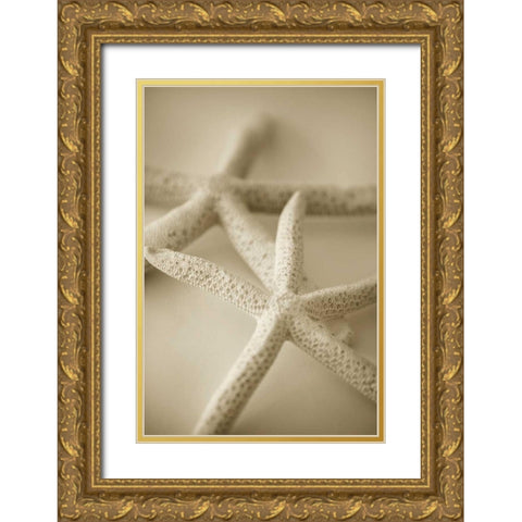 Ocean Treasures V Gold Ornate Wood Framed Art Print with Double Matting by Millet, Karyn