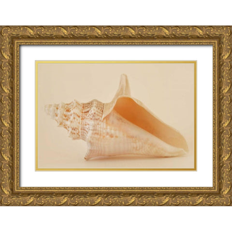 Ocean Treasures IX Gold Ornate Wood Framed Art Print with Double Matting by Millet, Karyn