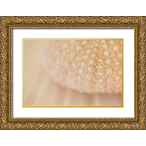 Ocean Treasures XV Gold Ornate Wood Framed Art Print with Double Matting by Millet, Karyn