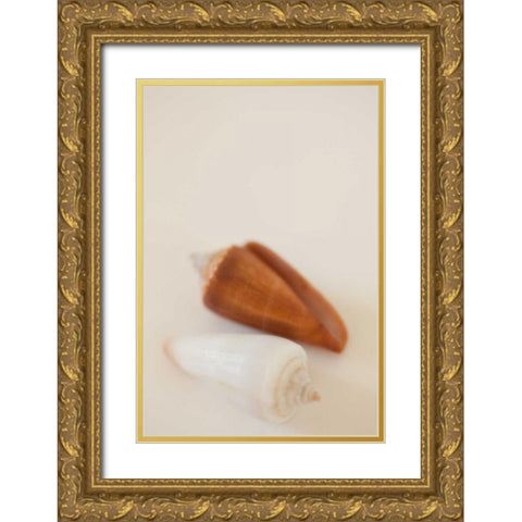 Shell by Shell I Gold Ornate Wood Framed Art Print with Double Matting by Millet, Karyn