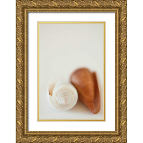Shell by Shell II Gold Ornate Wood Framed Art Print with Double Matting by Millet, Karyn