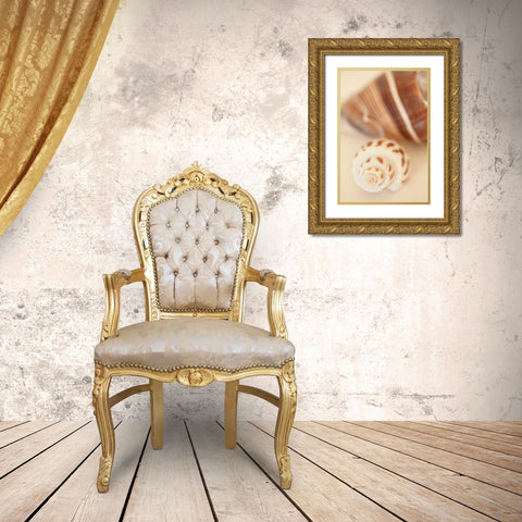 Shell by Shell III Gold Ornate Wood Framed Art Print with Double Matting by Millet, Karyn