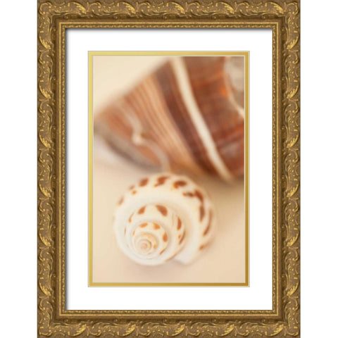 Shell by Shell III Gold Ornate Wood Framed Art Print with Double Matting by Millet, Karyn