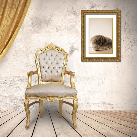 Shell Symmetry I Gold Ornate Wood Framed Art Print with Double Matting by Millet, Karyn