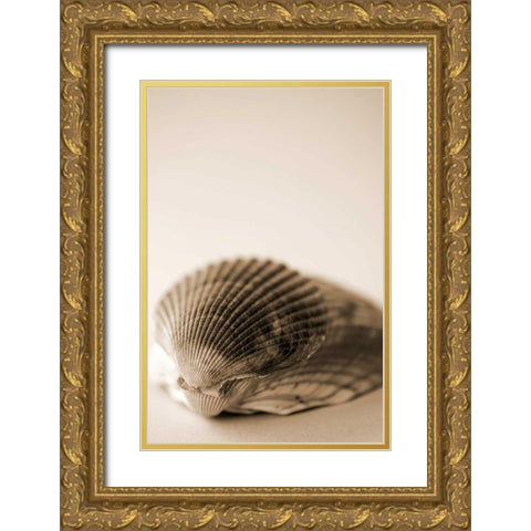 Shell Symmetry I Gold Ornate Wood Framed Art Print with Double Matting by Millet, Karyn