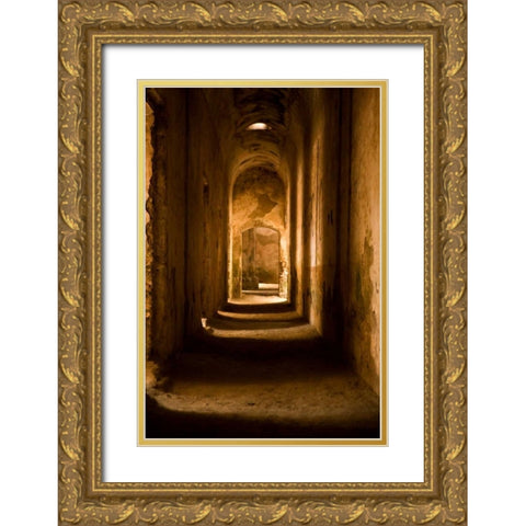 Down the Hall II Gold Ornate Wood Framed Art Print with Double Matting by Millet, Karyn