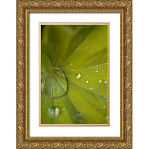 Tropical Leaves I Gold Ornate Wood Framed Art Print with Double Matting by Millet, Karyn
