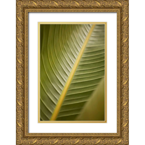 Tropical Leaves II Gold Ornate Wood Framed Art Print with Double Matting by Millet, Karyn
