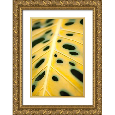 Tropical Leaves III Gold Ornate Wood Framed Art Print with Double Matting by Millet, Karyn