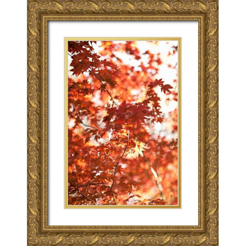 In the Trees I Gold Ornate Wood Framed Art Print with Double Matting by Millet, Karyn