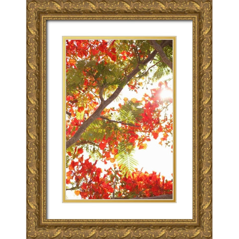 In the Trees II Gold Ornate Wood Framed Art Print with Double Matting by Millet, Karyn