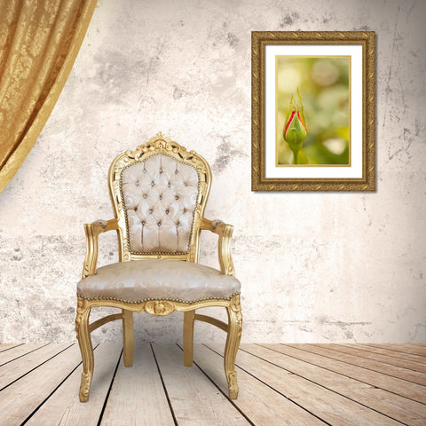 Serene Rose II Gold Ornate Wood Framed Art Print with Double Matting by Millet, Karyn