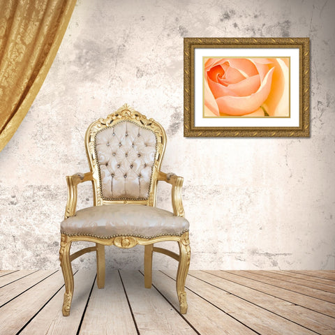 In Full Bloom I Gold Ornate Wood Framed Art Print with Double Matting by Millet, Karyn