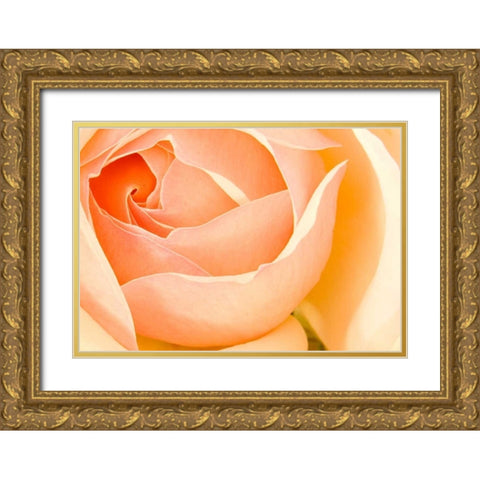 In Full Bloom I Gold Ornate Wood Framed Art Print with Double Matting by Millet, Karyn