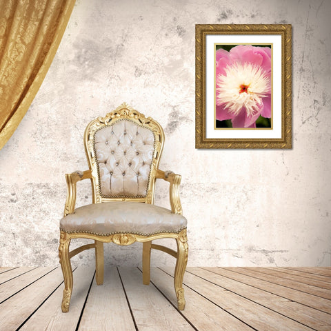 Pink and White Peony I Gold Ornate Wood Framed Art Print with Double Matting by Millet, Karyn
