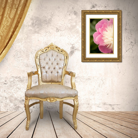 Pink and White Peony II Gold Ornate Wood Framed Art Print with Double Matting by Millet, Karyn
