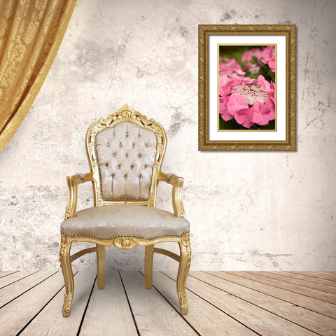 Lace Hydrangea I Gold Ornate Wood Framed Art Print with Double Matting by Millet, Karyn