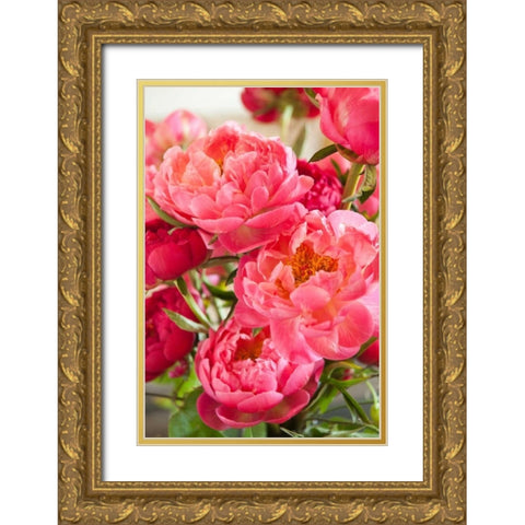 Peonies II Gold Ornate Wood Framed Art Print with Double Matting by Millet, Karyn