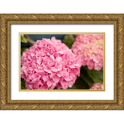 Hydrangeas II Gold Ornate Wood Framed Art Print with Double Matting by Millet, Karyn