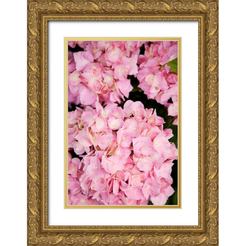 Hydrangeas III Gold Ornate Wood Framed Art Print with Double Matting by Millet, Karyn