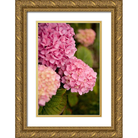 Hydrangeas V Gold Ornate Wood Framed Art Print with Double Matting by Millet, Karyn