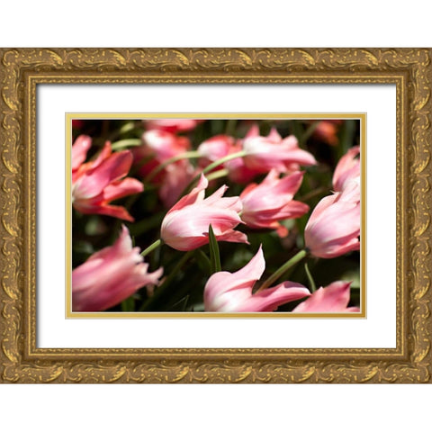 Leaning Tulips Gold Ornate Wood Framed Art Print with Double Matting by Millet, Karyn