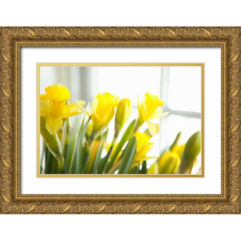 Leaning Daffodils Gold Ornate Wood Framed Art Print with Double Matting by Millet, Karyn