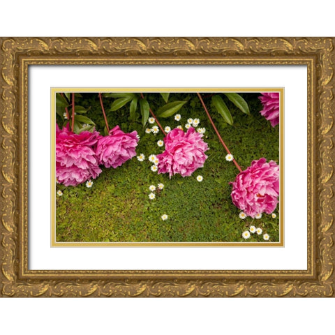 Garden Peonies I Gold Ornate Wood Framed Art Print with Double Matting by Millet, Karyn