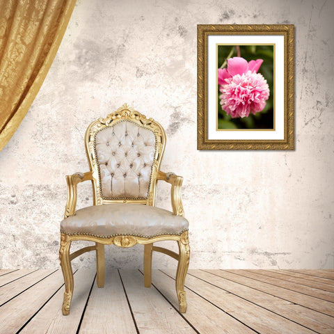 Pink Peony I Gold Ornate Wood Framed Art Print with Double Matting by Millet, Karyn
