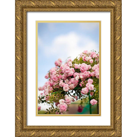 Spring Blossoms I Gold Ornate Wood Framed Art Print with Double Matting by Millet, Karyn