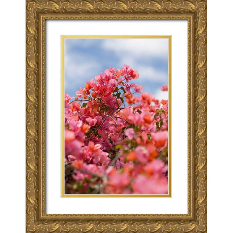 Spring Blossoms II Gold Ornate Wood Framed Art Print with Double Matting by Millet, Karyn