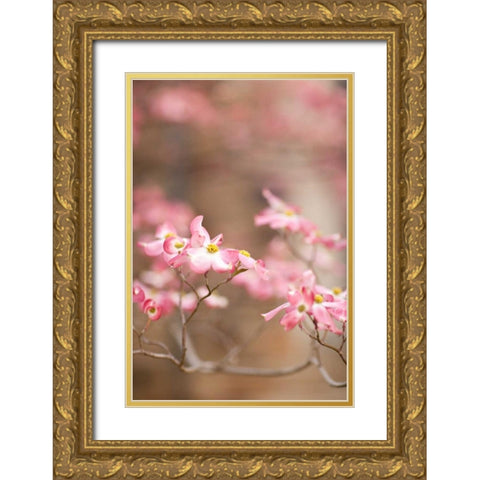 Spring Blossoms III Gold Ornate Wood Framed Art Print with Double Matting by Millet, Karyn