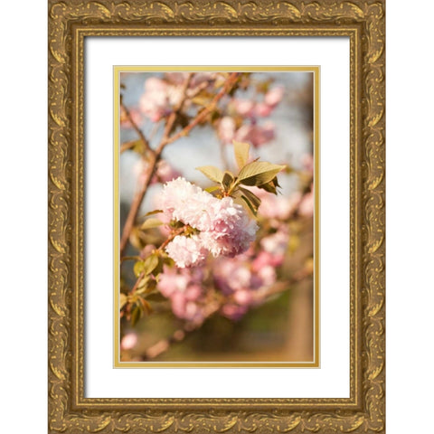 Spring Blossoms IV Gold Ornate Wood Framed Art Print with Double Matting by Millet, Karyn