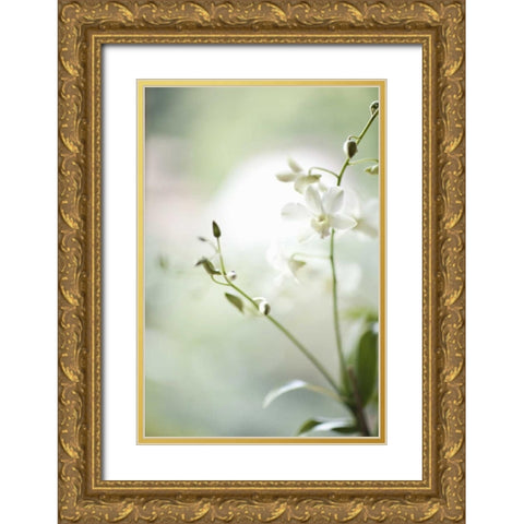 White Orchid II Gold Ornate Wood Framed Art Print with Double Matting by Millet, Karyn
