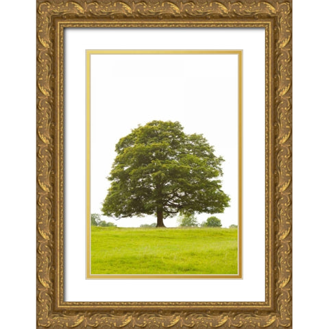 Tree I Gold Ornate Wood Framed Art Print with Double Matting by Millet, Karyn