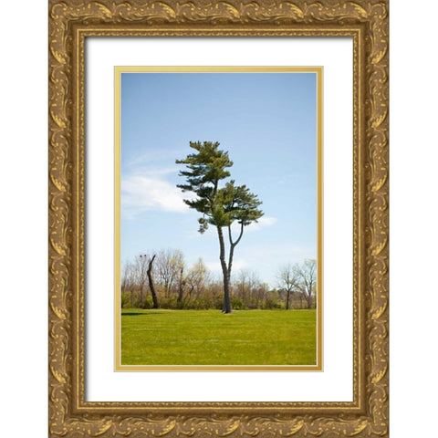 Tree II Gold Ornate Wood Framed Art Print with Double Matting by Millet, Karyn