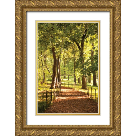 Follow the Path II Gold Ornate Wood Framed Art Print with Double Matting by Millet, Karyn