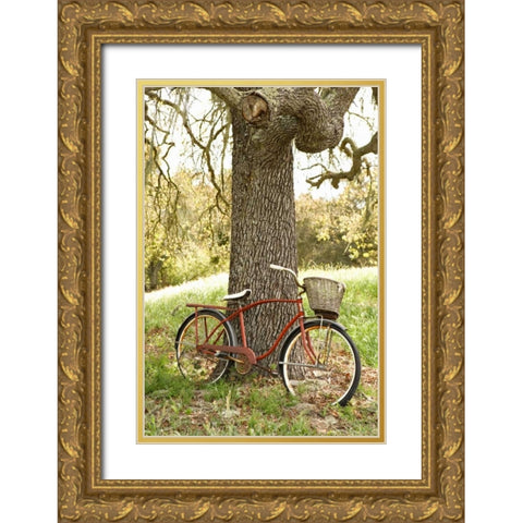 Go by Bike II Gold Ornate Wood Framed Art Print with Double Matting by Millet, Karyn