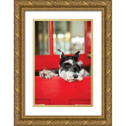 A Dogs Life I Gold Ornate Wood Framed Art Print with Double Matting by Millet, Karyn